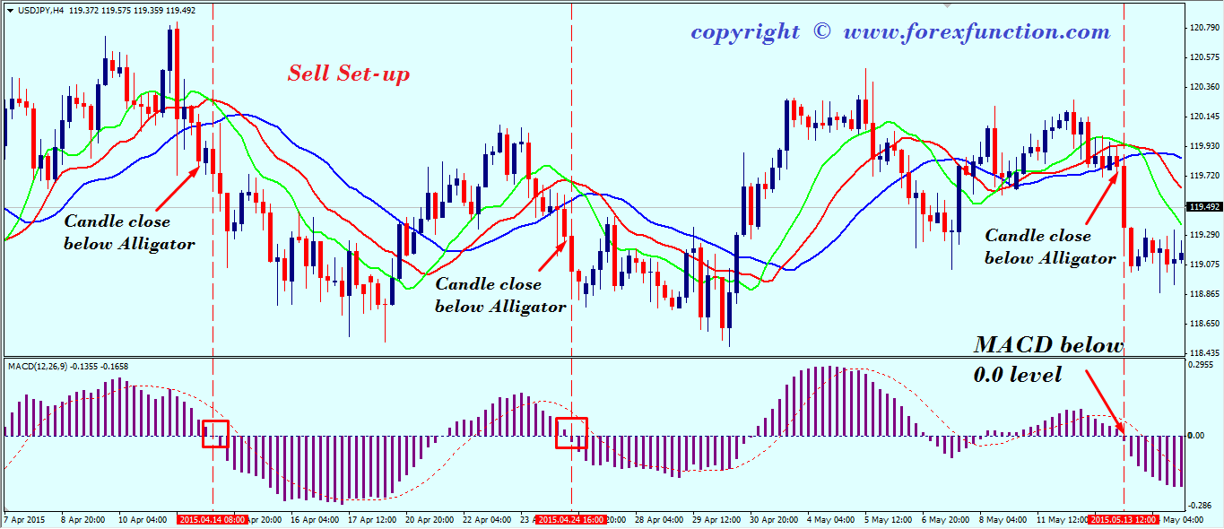 forex-trading-strategy-of-macd