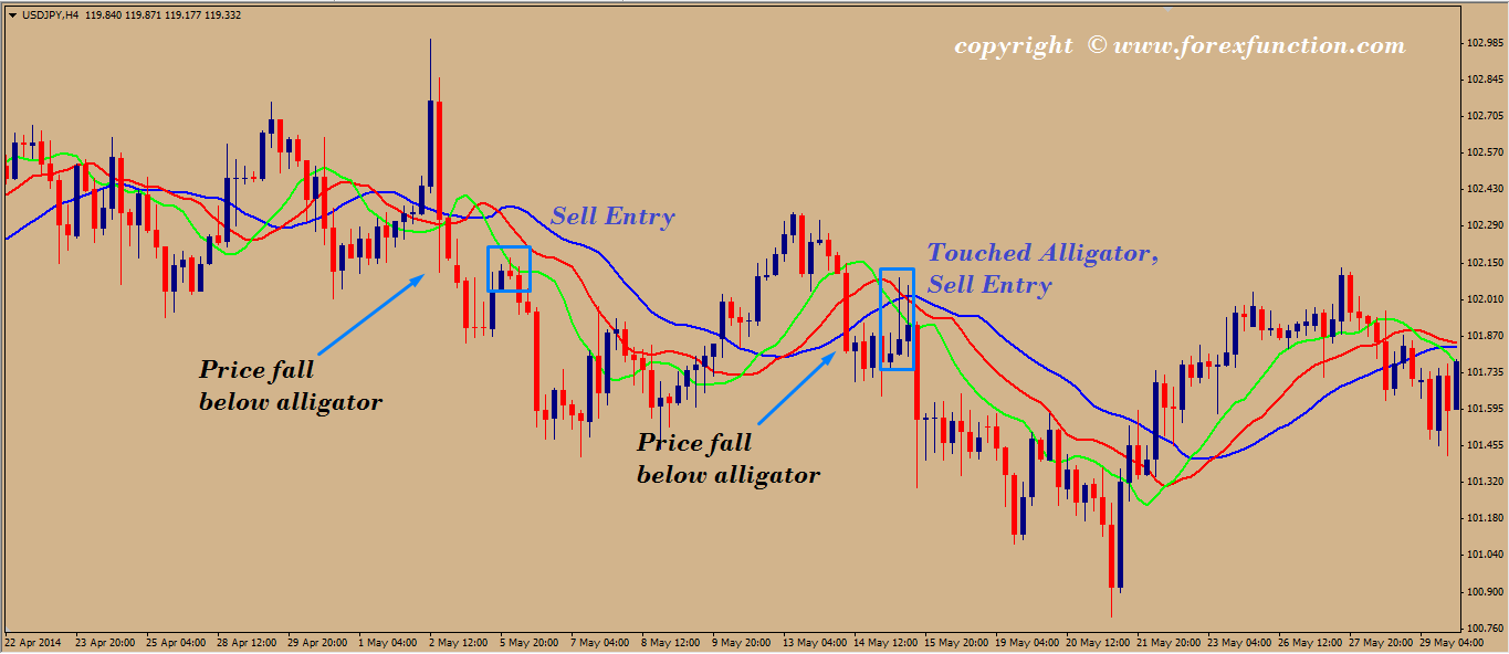 forex-trading-strategy-of-alligator